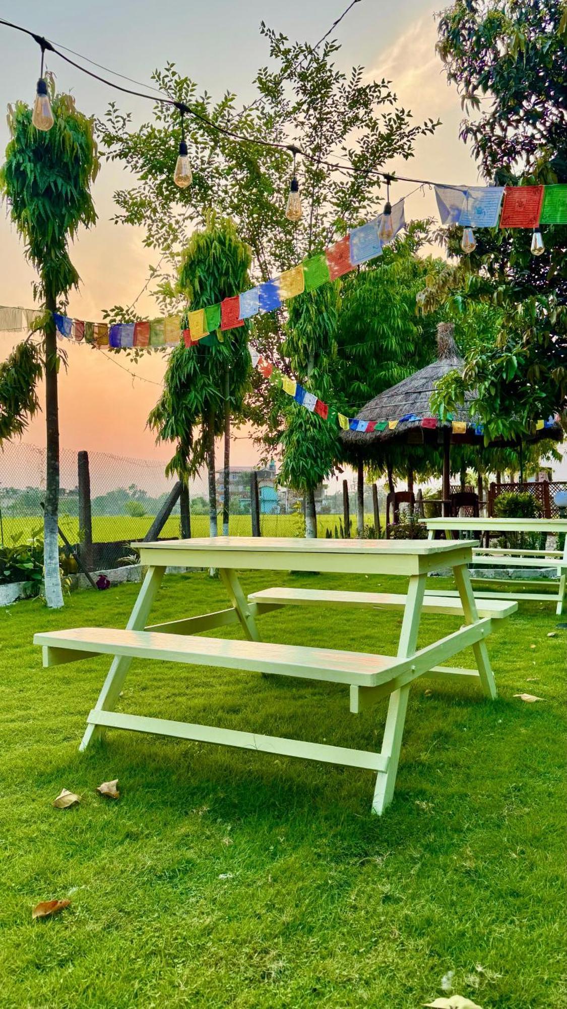 Hotel Tree Tops- A Serene Friendly Hotel In Sauraha Chitwan Exterior foto